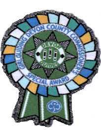 County Commissioner Special Award